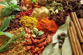 گیاهان دارویی فرصتی برای تولید ثروت